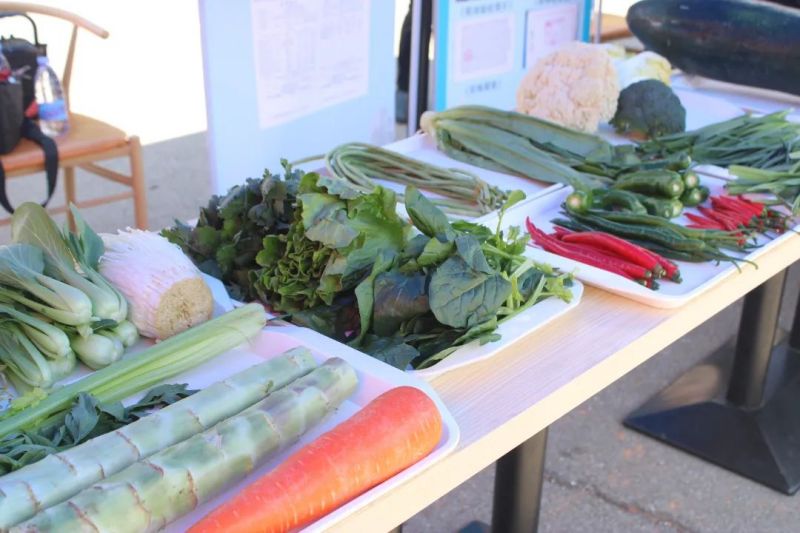 湖南鐘情餐飲管理有限責任公司,餐飲管理,鐘情餐飲管理,團體膳食,大學食堂,學院食堂,學校餐飲