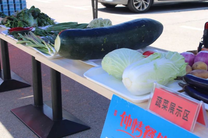 湖南鐘情餐飲管理有限責任公司,餐飲管理,鐘情餐飲管理,團體膳食,大學食堂,學院食堂,學校餐飲
